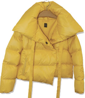 yellow jacket